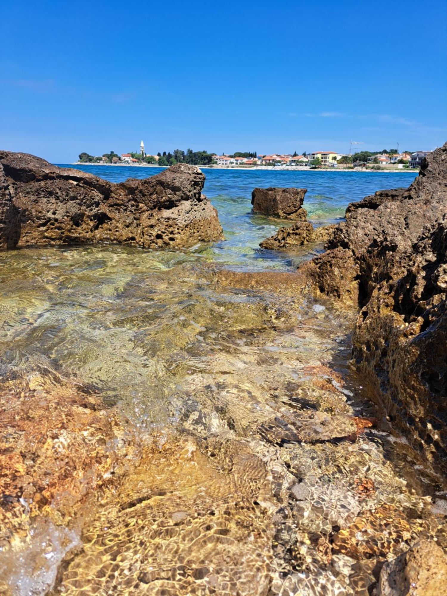 Sobe Anja ξενώνας Brtonigla Εξωτερικό φωτογραφία